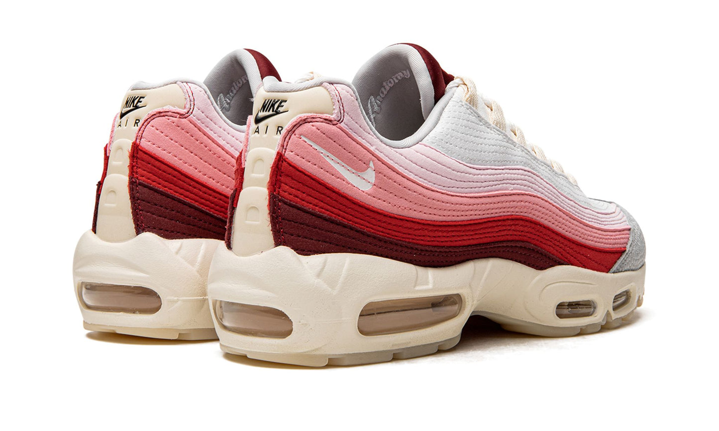Nike Air Max 95 "Anatomy of Air"