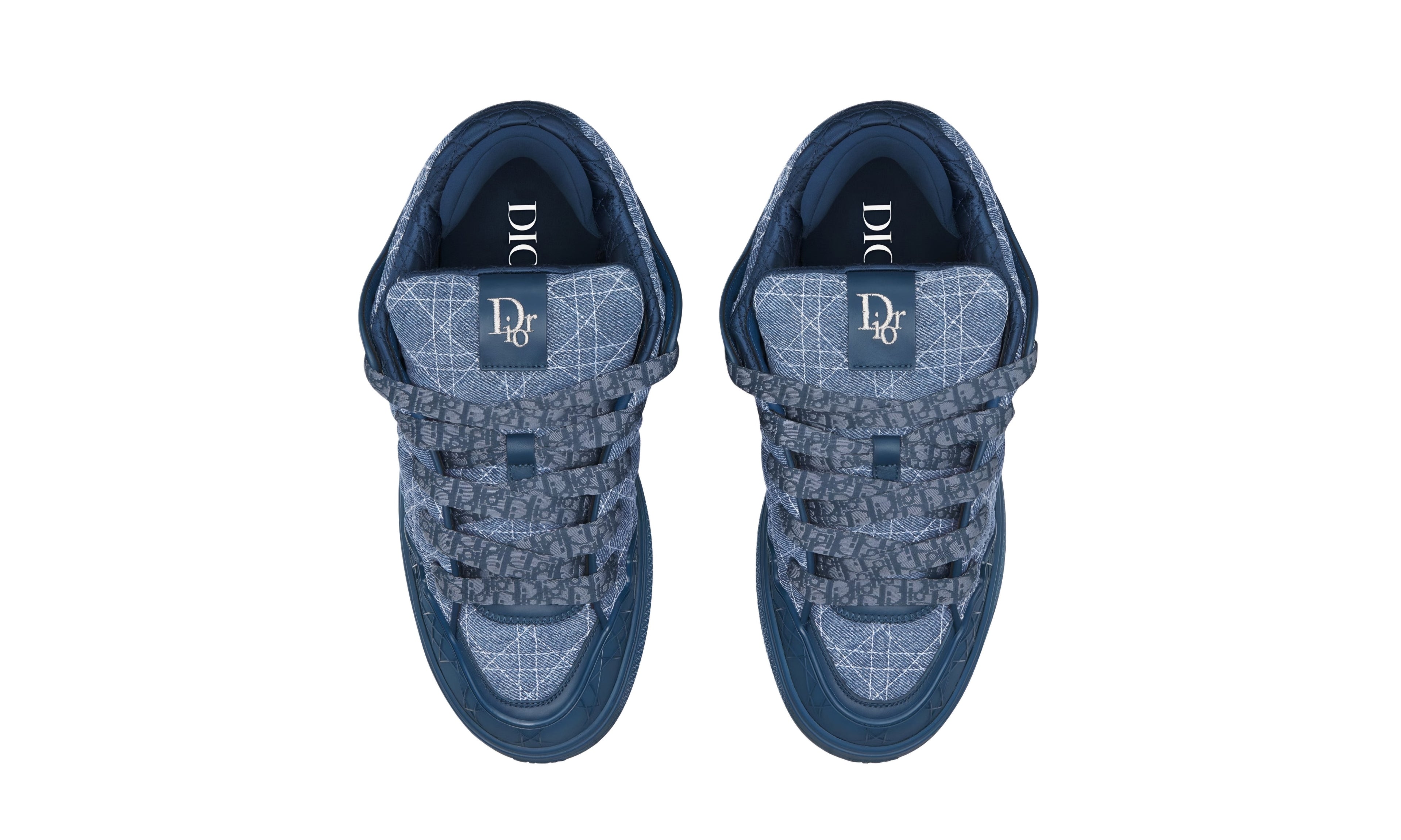 Dior B9 Skater "Blue"