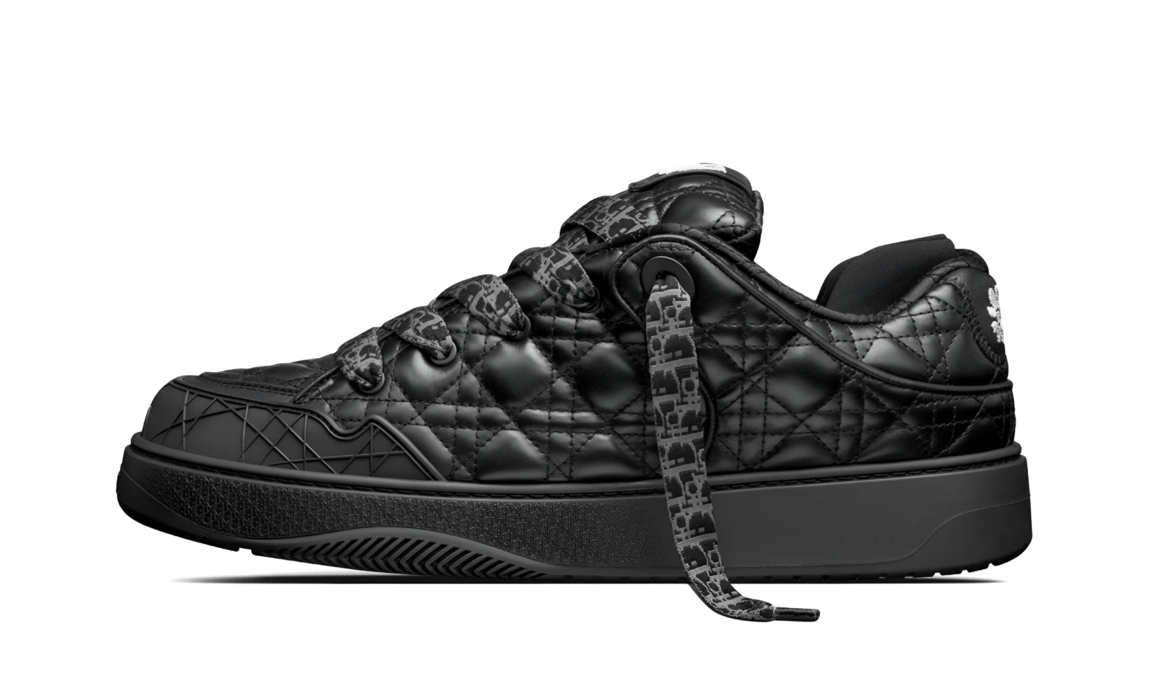 Dior B9S Skater ERL "Black"