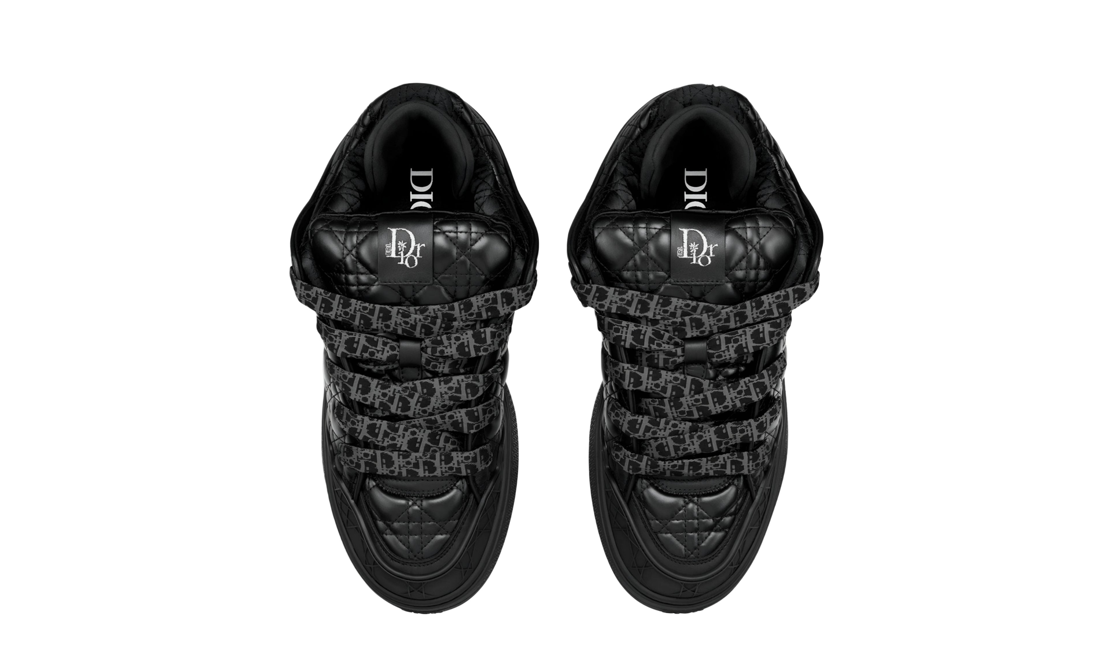 Dior B9S Skater ERL "Black"