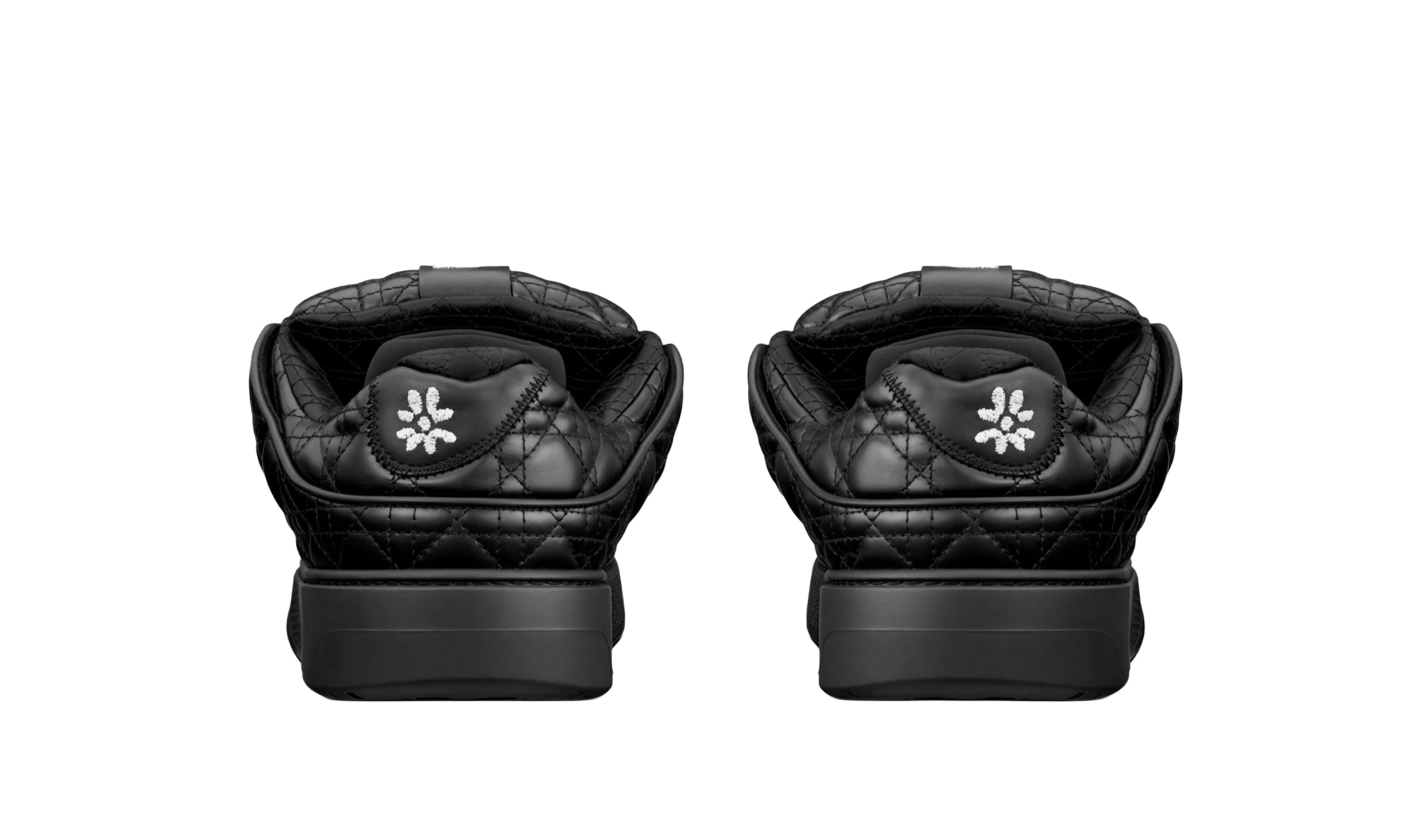 Dior B9S Skater ERL "Black"