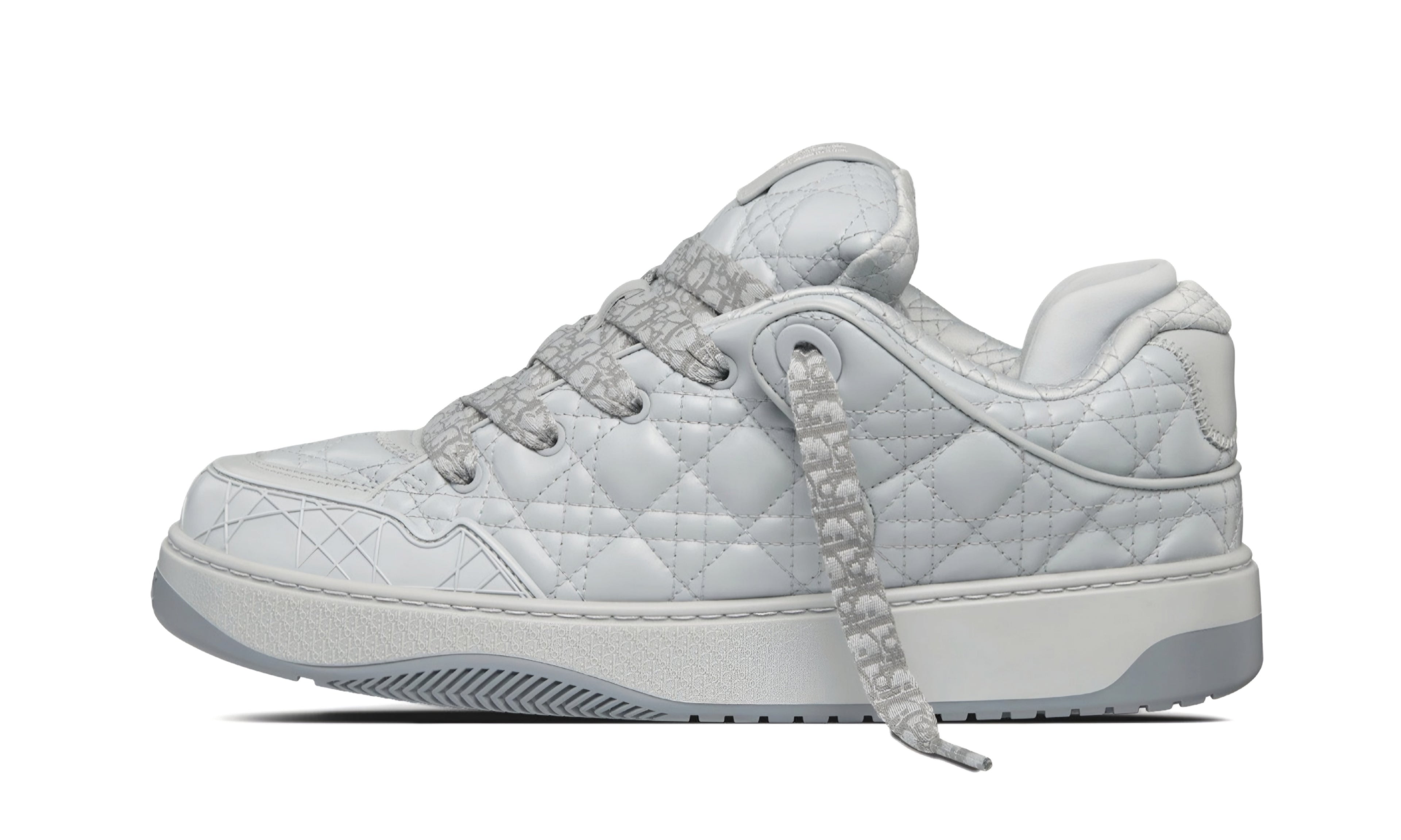 Dior B9 Skater "Grey"