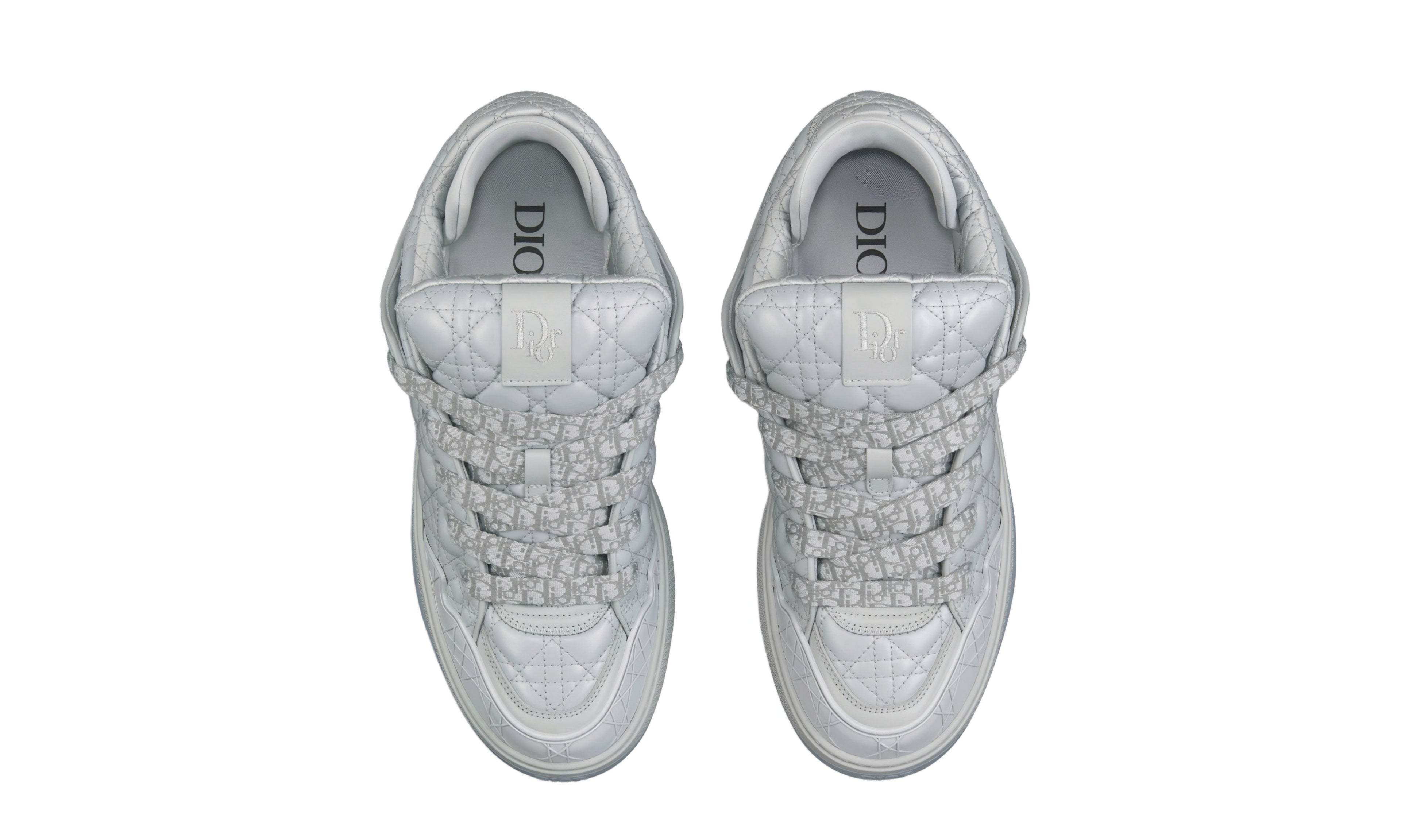 Dior B9 Skater "Grey"