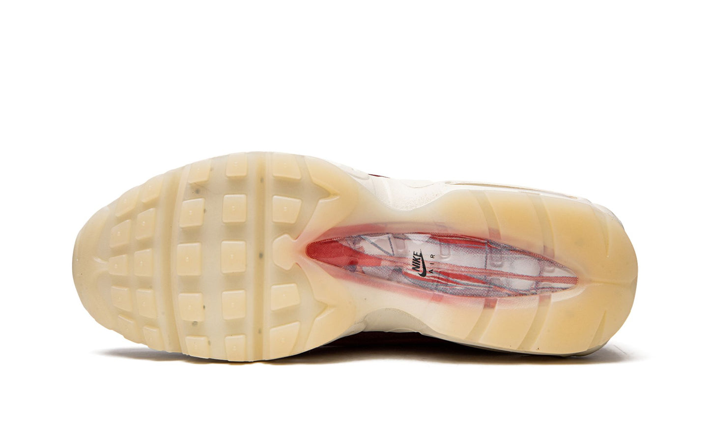 Nike Air Max 95 "Anatomy of Air"